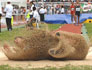 De grizzlyberen deden het prima op de NK atletiek dit jaar